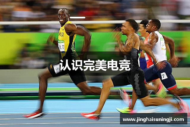认识短褐不完网